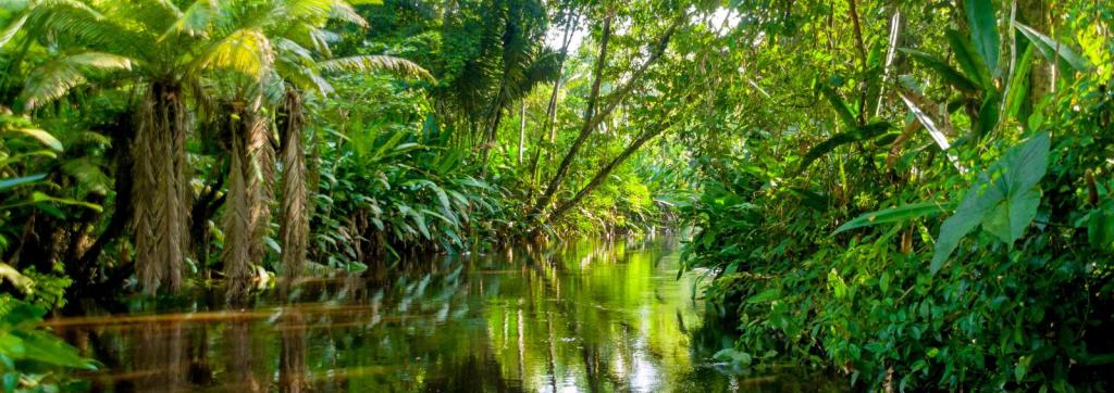 Sadness Gives Depth. Happiness Gives Height