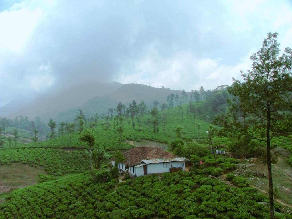 Unforgettable Vacation at Munnar