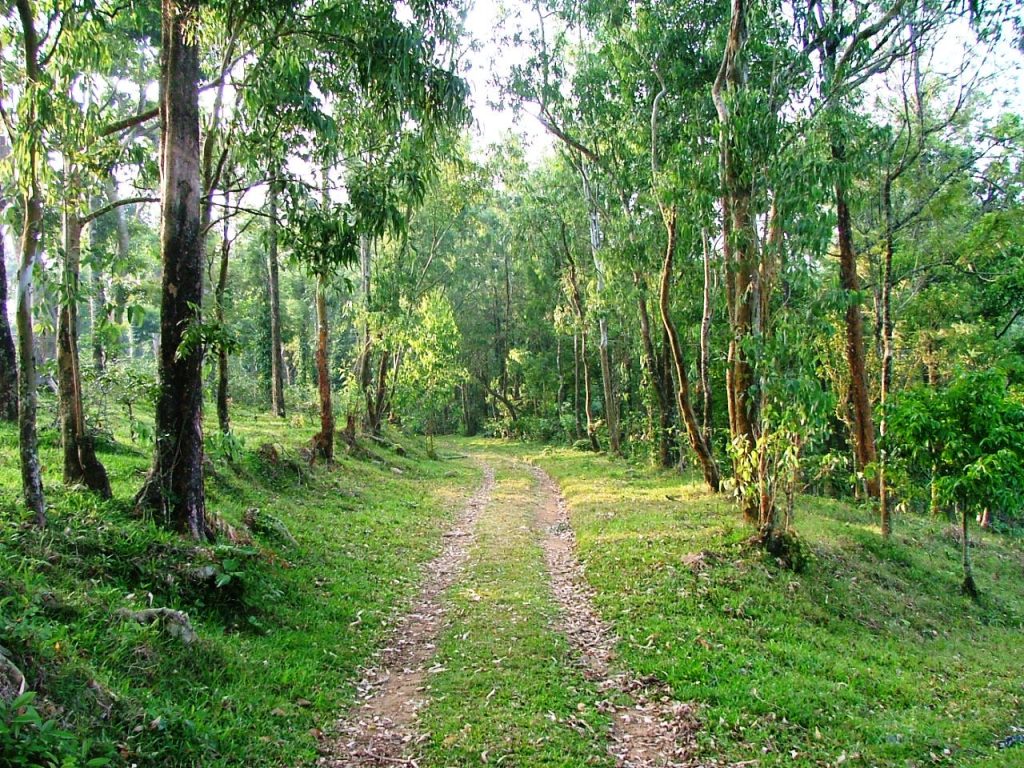 Walking Is The Best&nbsp;Meditation