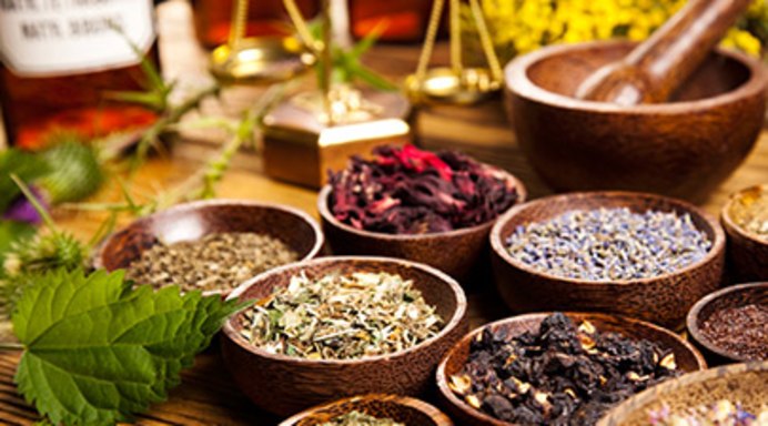 Going Back to&nbsp;Roots