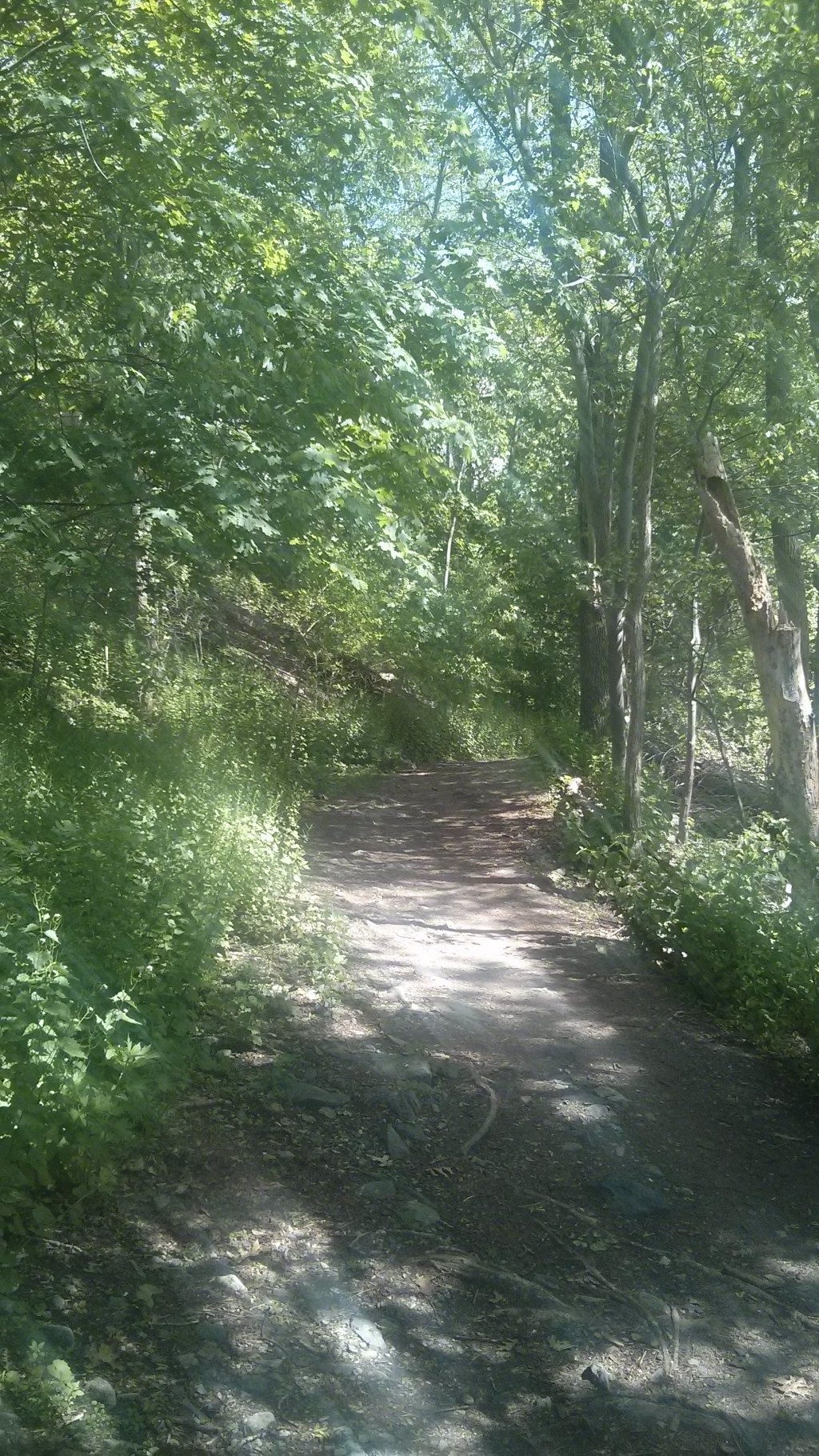 Summer vacations- The fondest&nbsp;memories