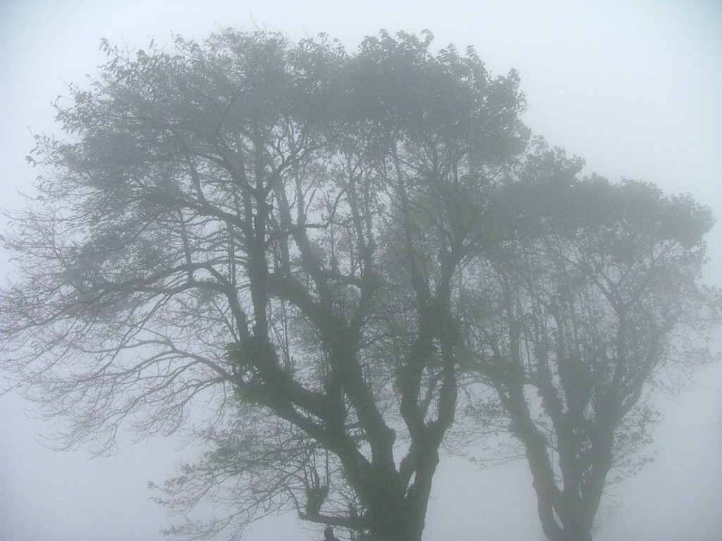 My Halloween Experience