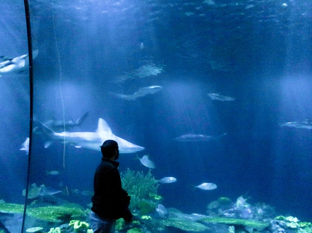 Have We Lost Our Sense Of&nbsp;Wonder?