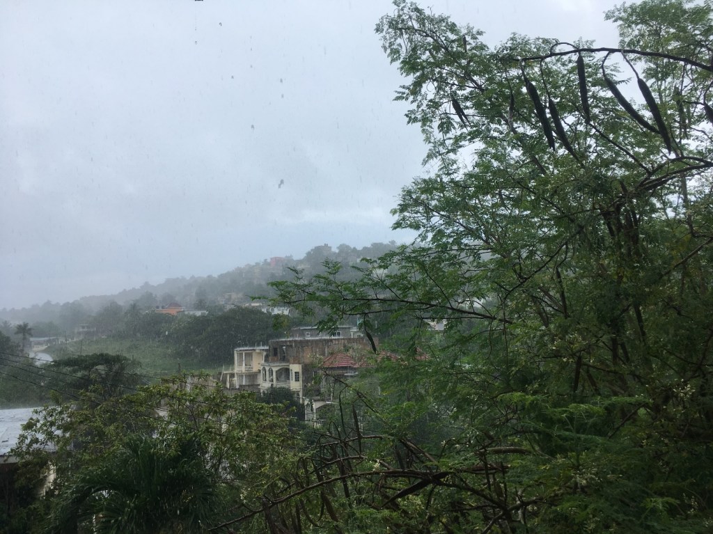 Rain Makes Everything&nbsp;Brighter