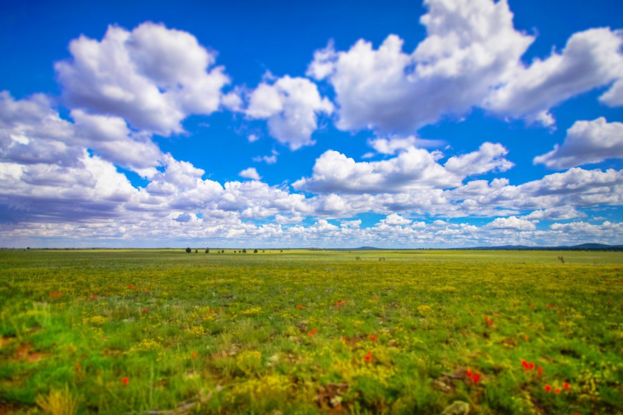 Are We Truly&nbsp;Independent