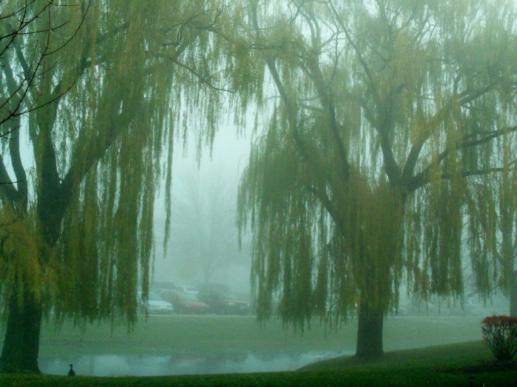 Are You Living With a Depressed Person?