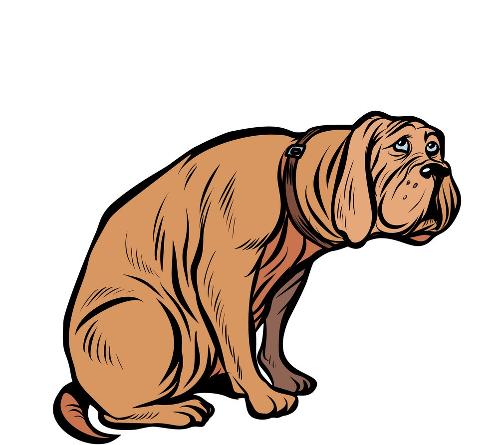 Five Easy Things Anyone Can&nbsp;Do