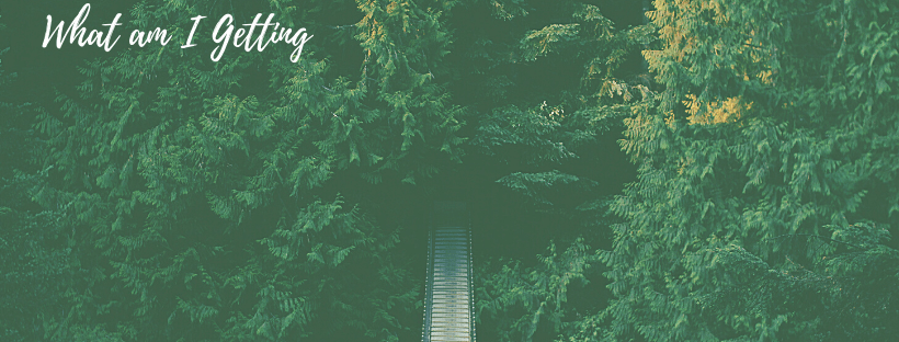 What I Want And What I Get