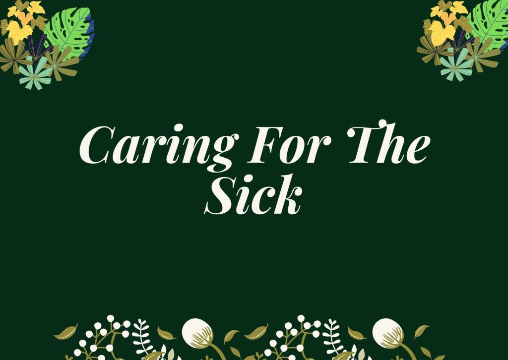 Latest news on gut health