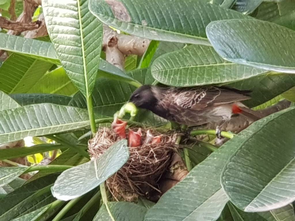 My Budding Love For&nbsp;Photography