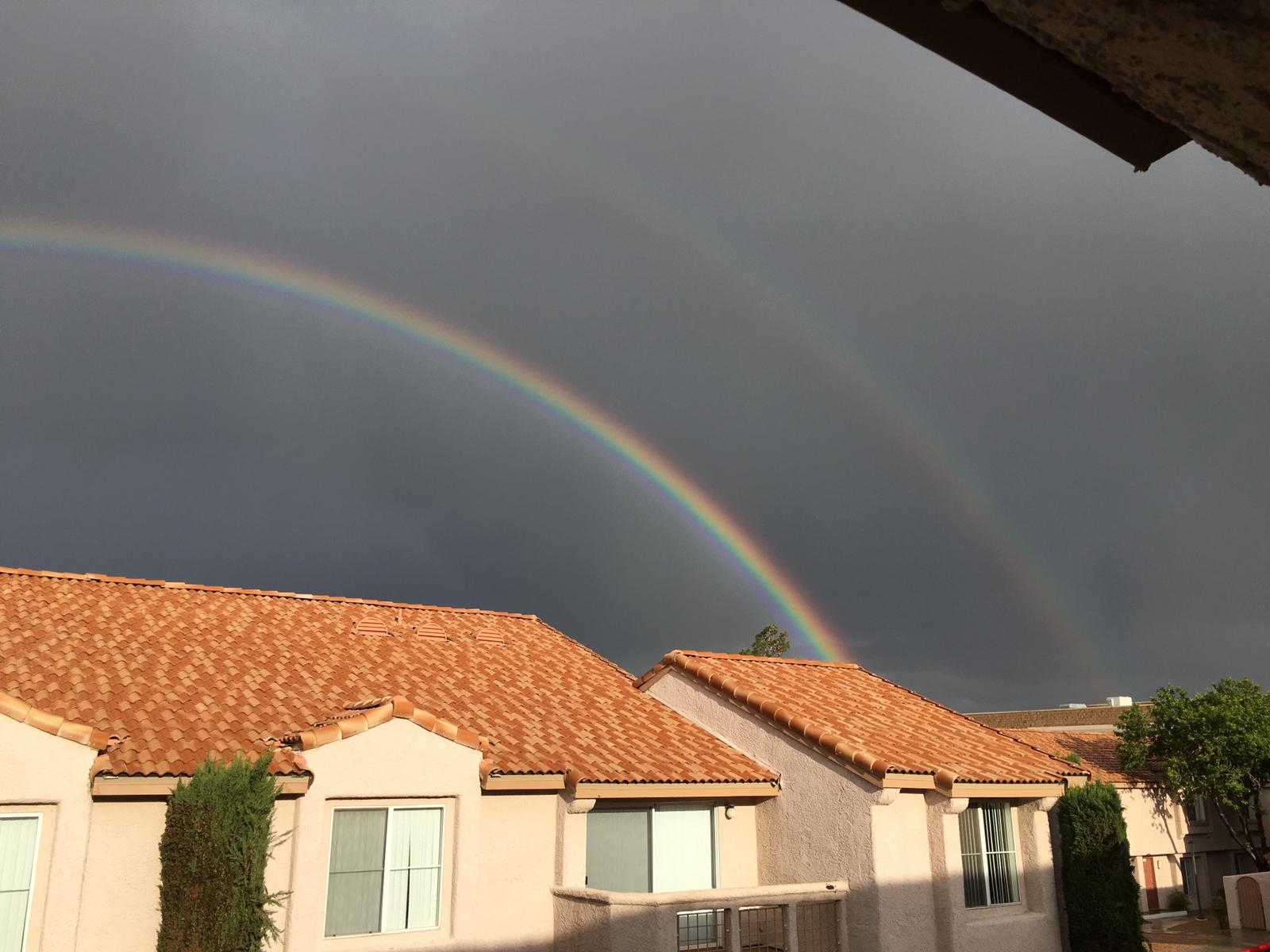 Random Musings – Random Musings