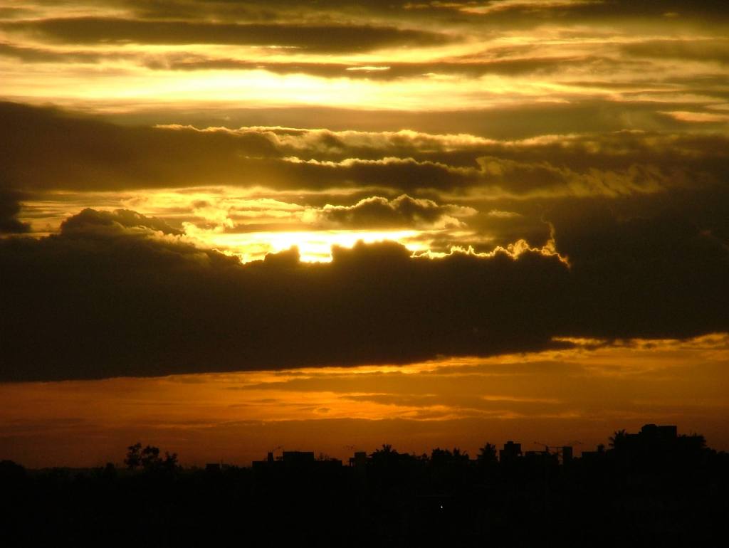 Scary Incident On Halloween