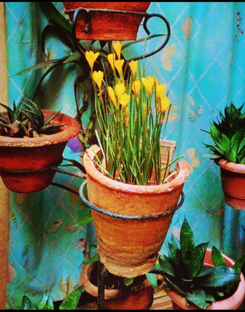 Passing Your Time During&nbsp;Lockdown