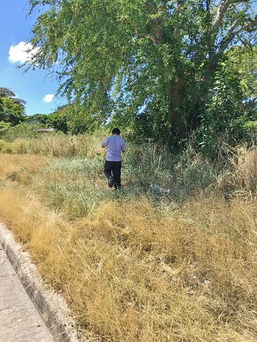 Revisiting A Long Forgotten Childhood Memory